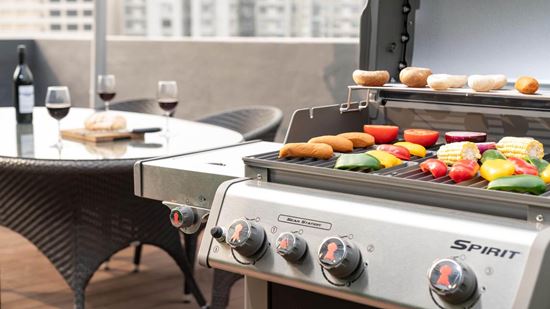 Shama Chill: rooftop garden with barbecue area
